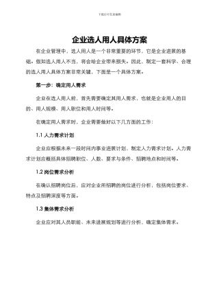 企业选人用人具体方案
