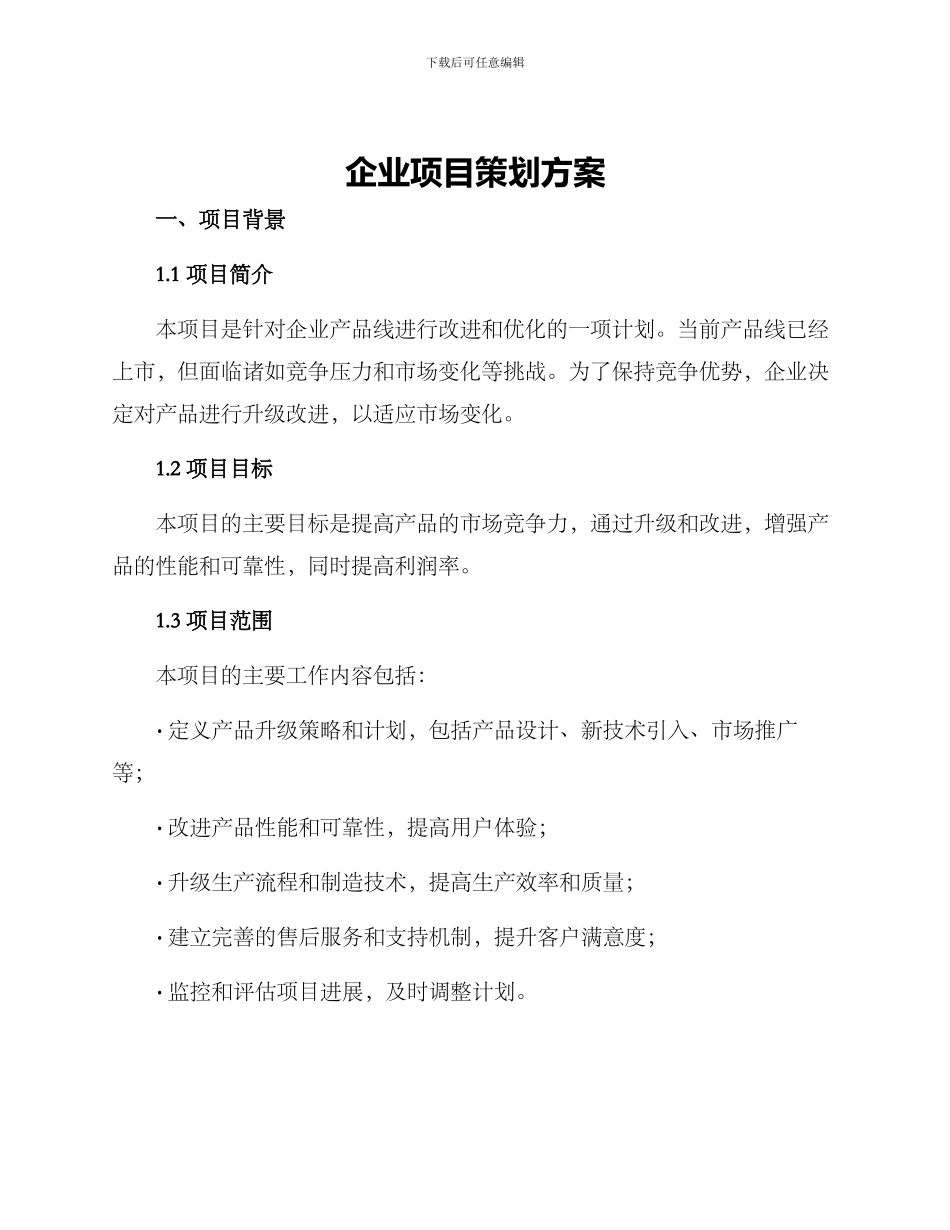 企业项目策划方案_第1页