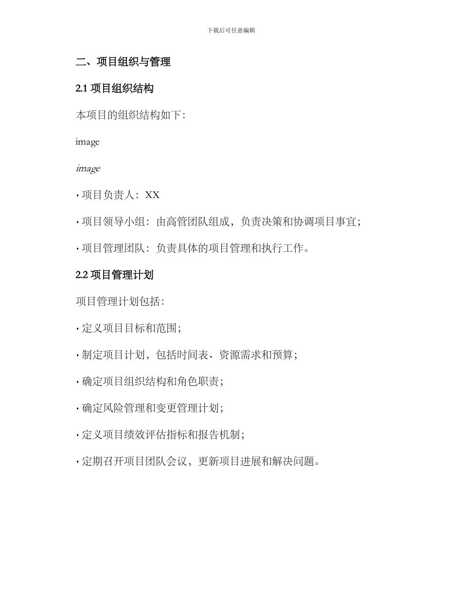 企业项目策划方案_第2页