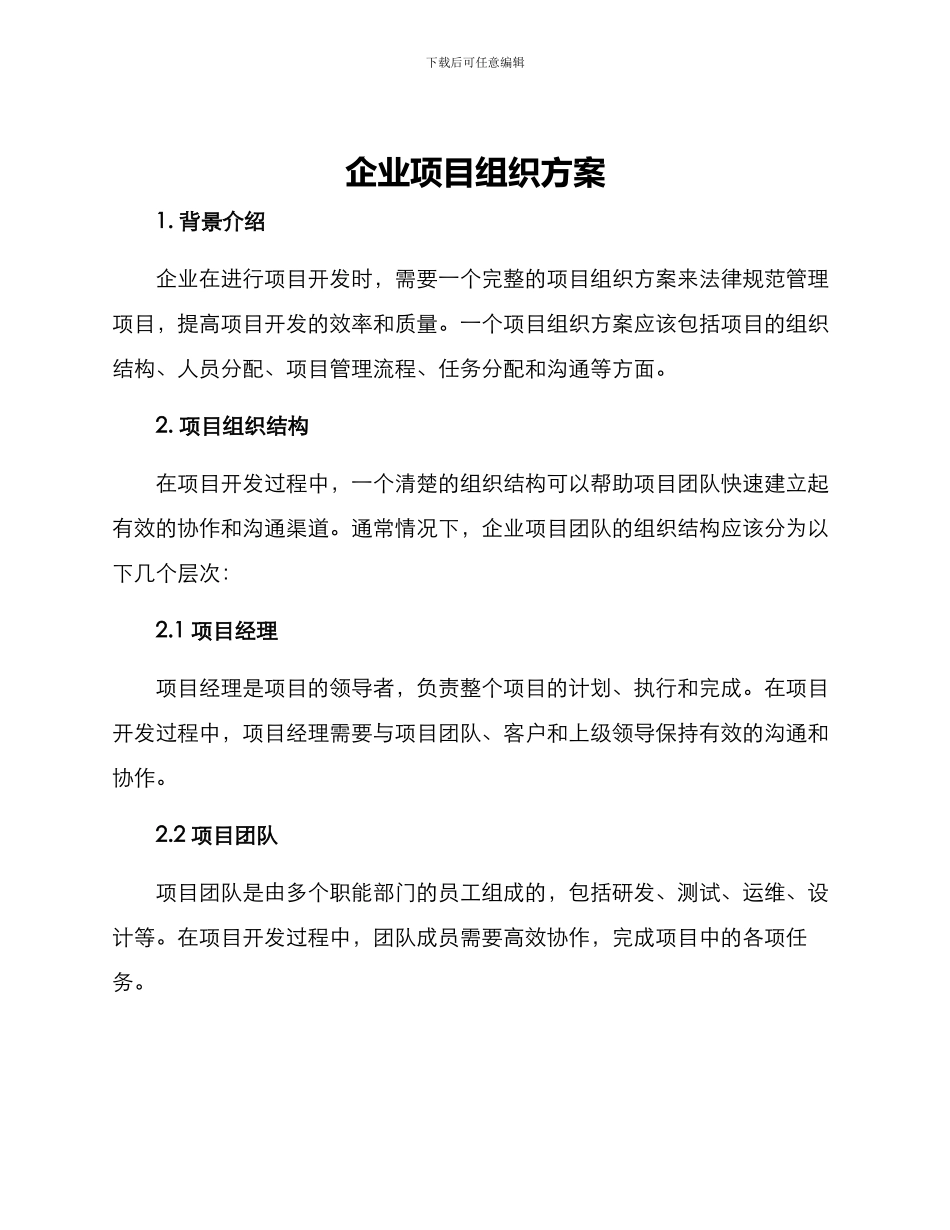 企业项目组织方案_第1页