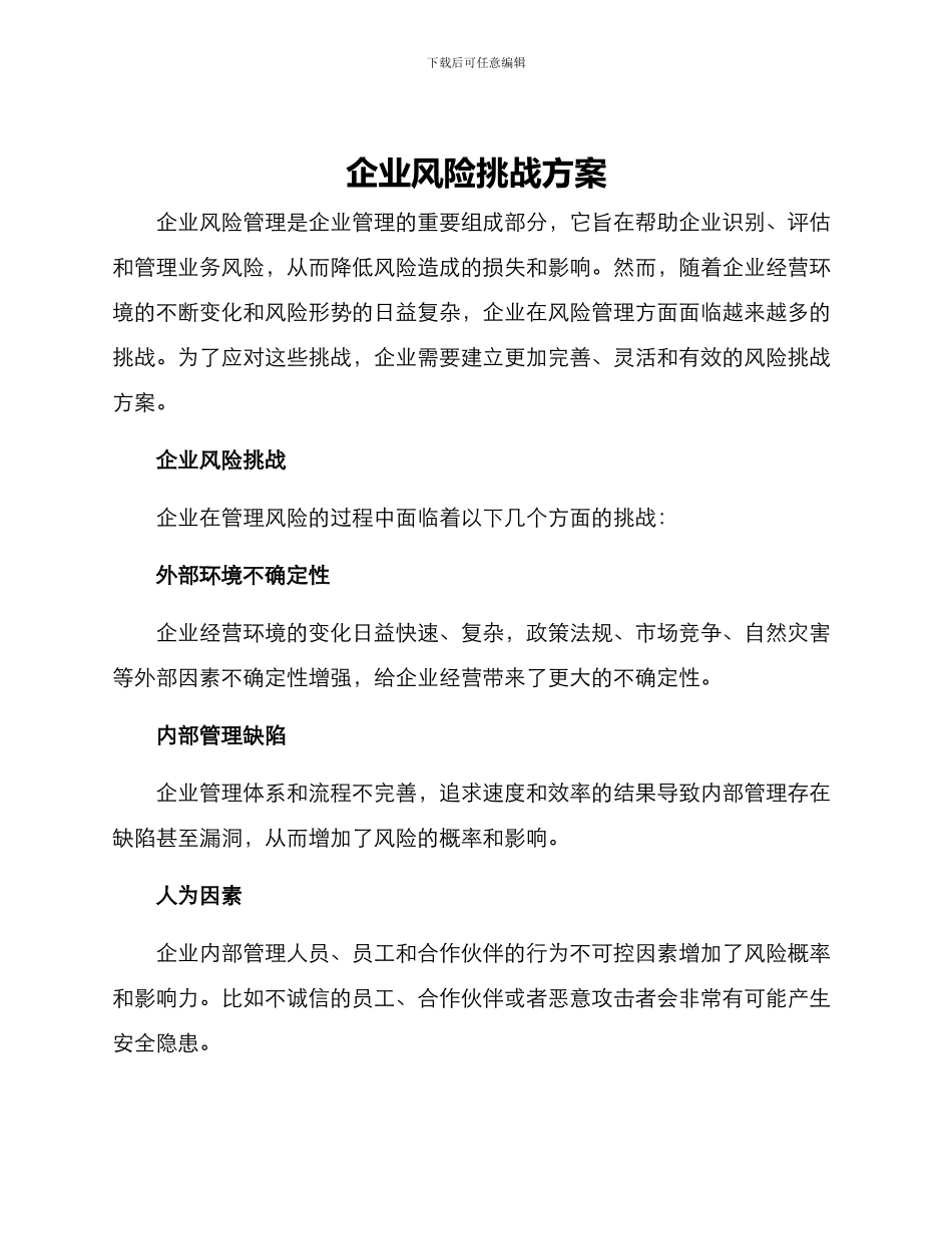 企业风险挑战方案_第1页