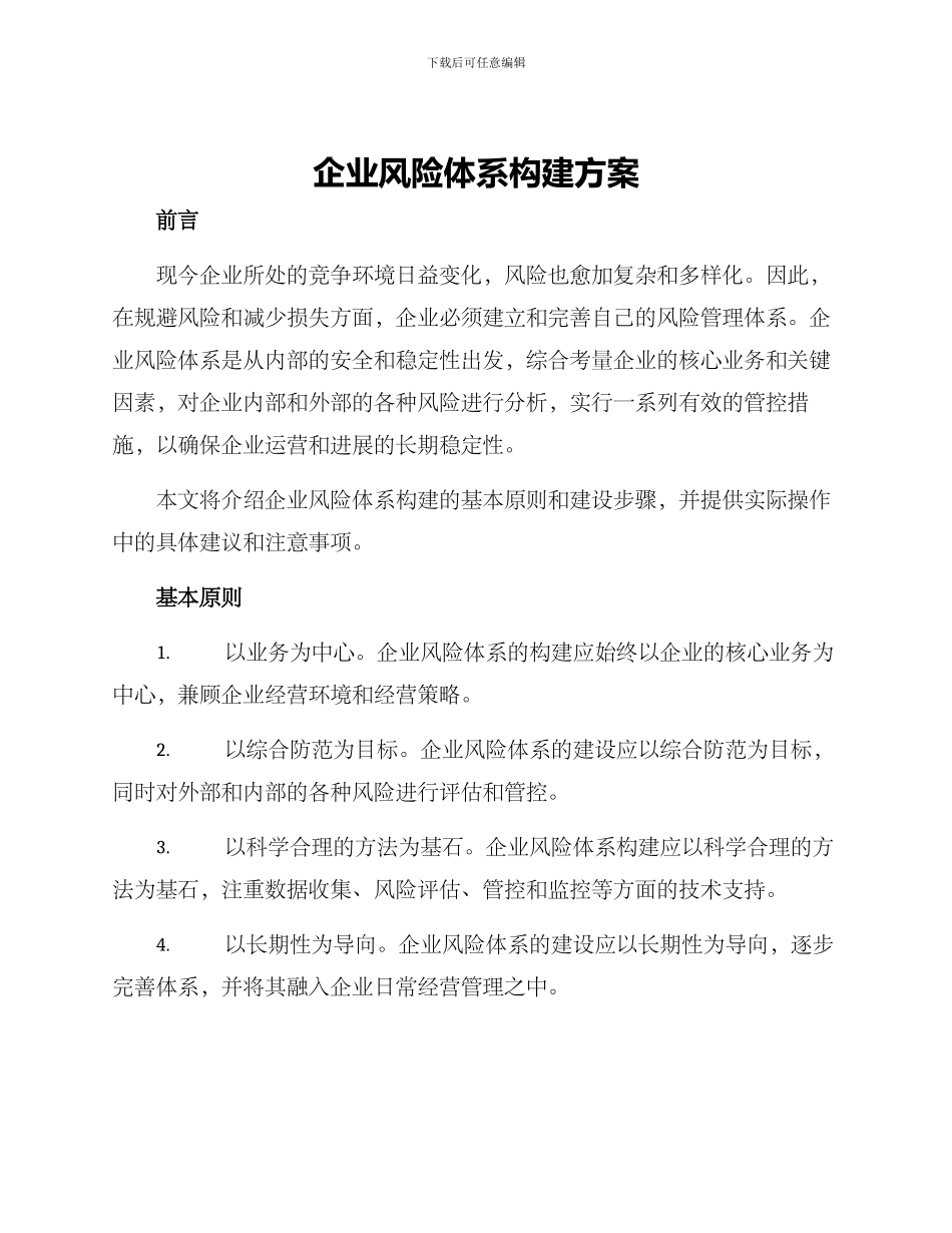 企业风险体系构建方案_第1页