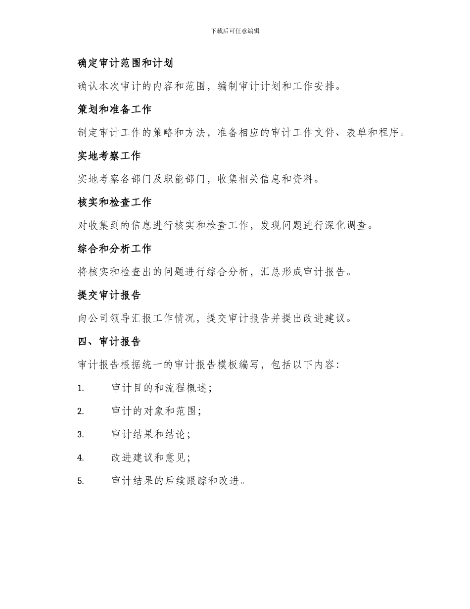 公司开展审计活动方案_第2页