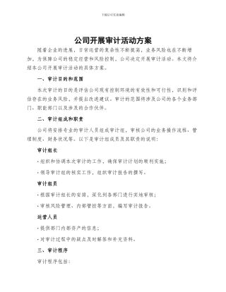 公司开展审计活动方案