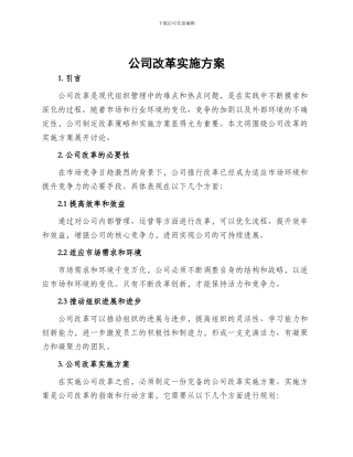 公司改革实施方案