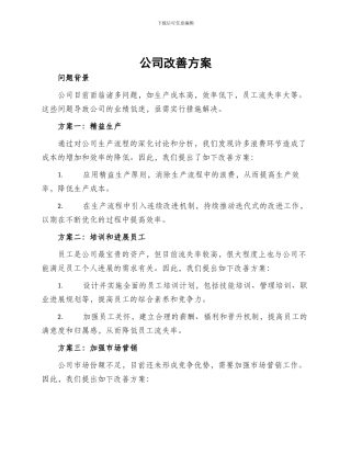 公司改善方案