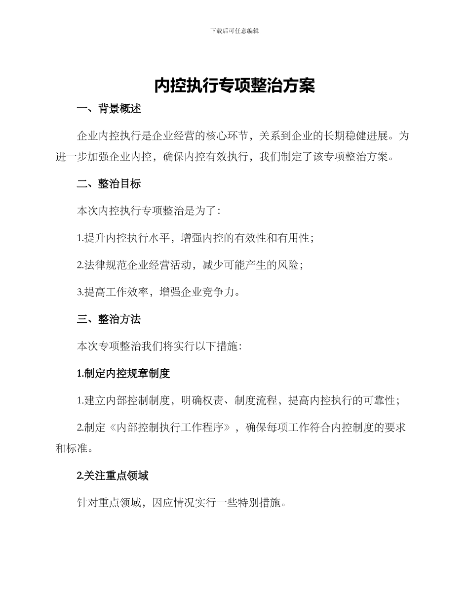 内控执行专项整治方案_第1页