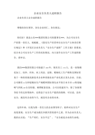 企业安全负责人述职报告
