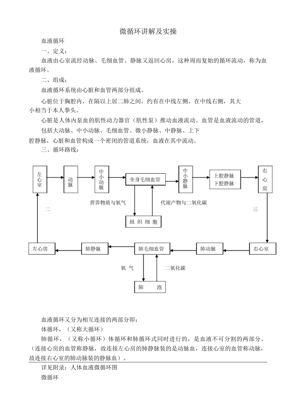 微循环讲解及实操_第1页