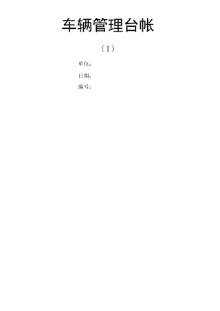 车辆管理台账()