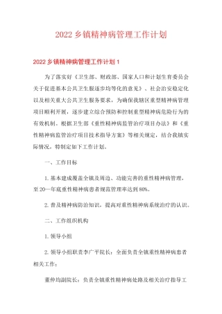 2022乡镇精神病管理工作计划