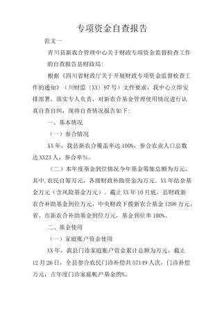 专项资金自查报告