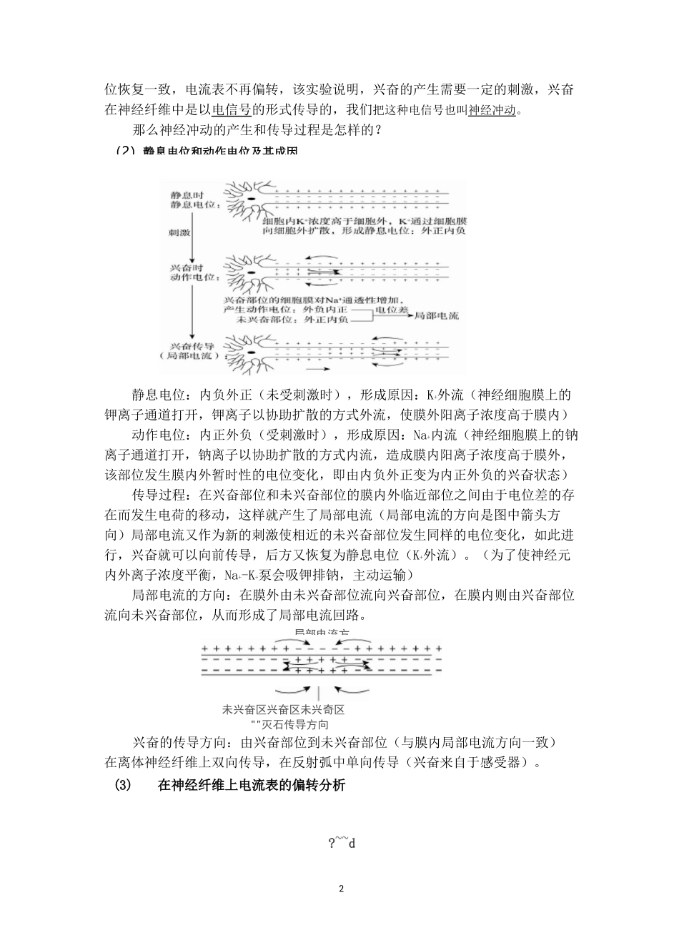高中生物 人教版 选择性必修1 稳态与调节 第2章 神经调节 第3节  神经冲动的产生和传导教案_第2页