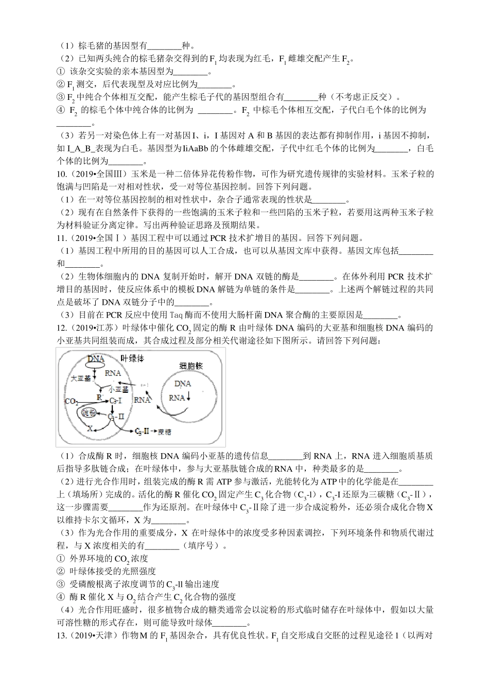 2019年高考生物真题分类汇编遗传的分子基础与规律_第3页