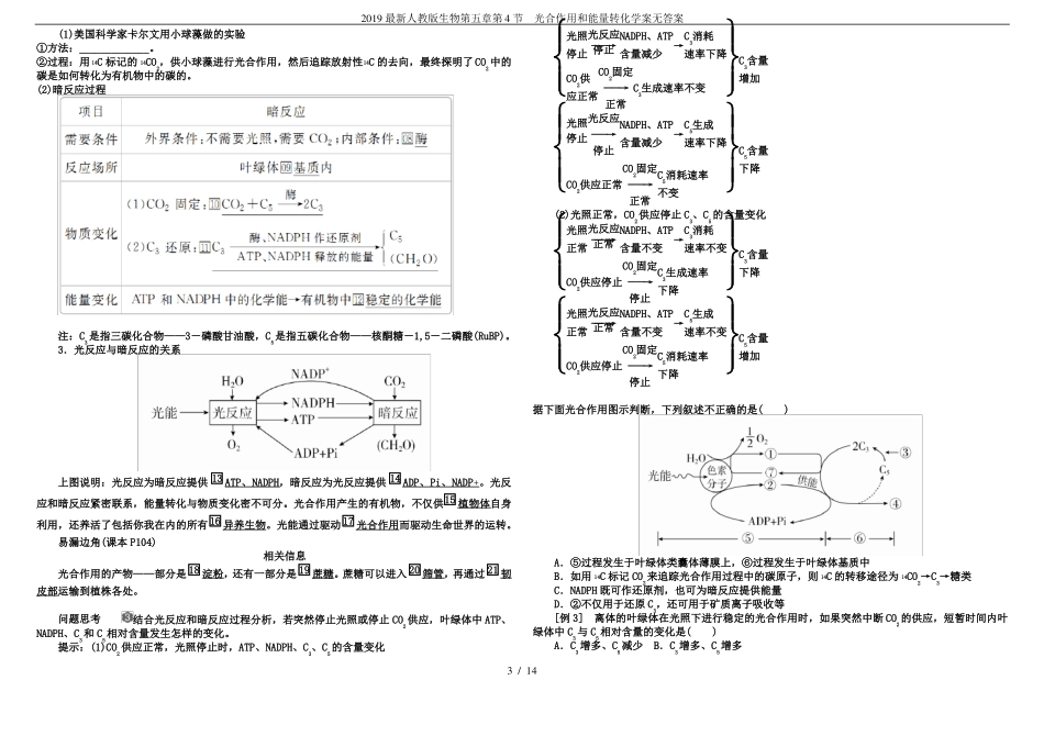 2019最新人教版生物第4节光合作用和能量转化学案无答案_第3页