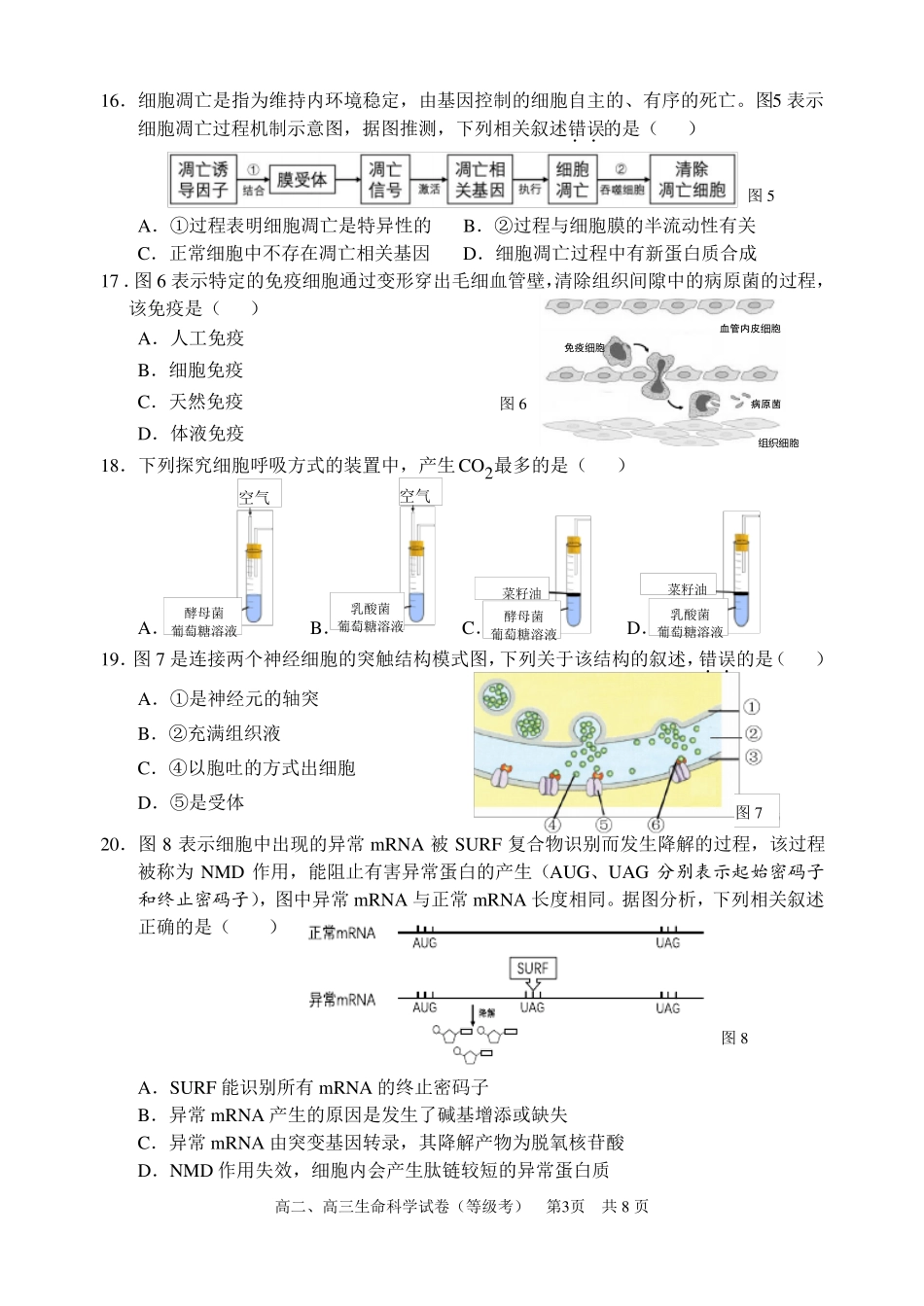 2020上海生命科学生物浦东新区一模试卷及答案_第3页