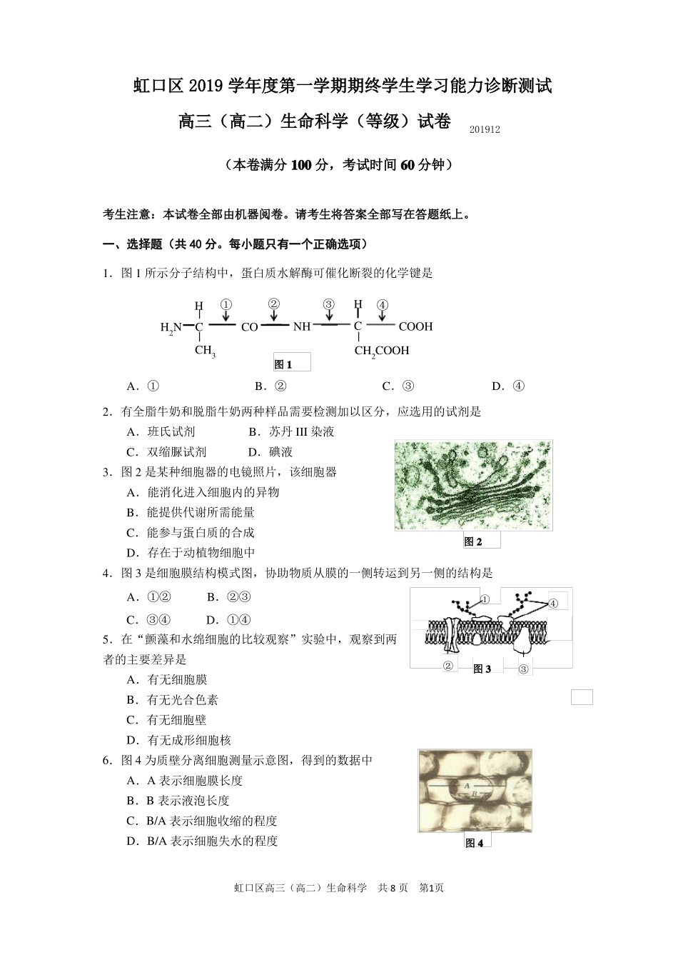 2020上海虹口区生命科学一模卷_第1页