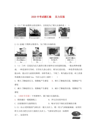 2020中考物理试题分类汇编-压力压强