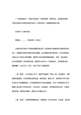 2020任命后个人表态发言