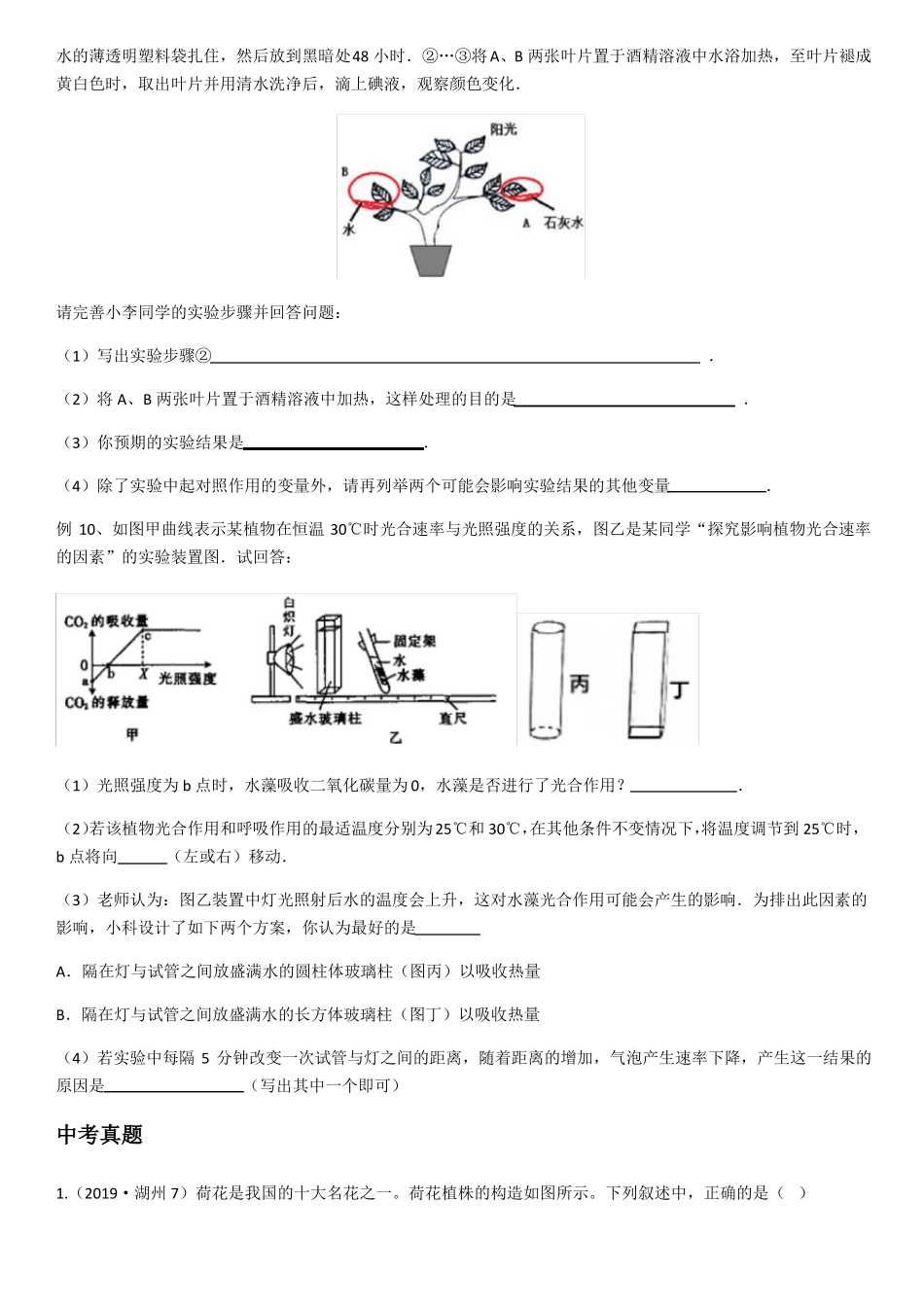2020年初中科学生物部分----植物的物质和能量转化含答案_第3页