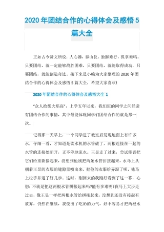 2020年团结合作的心得体会及感悟5篇大全