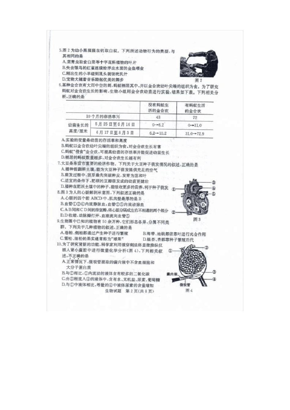 2020年山东东营中考生物试题含答案_第2页