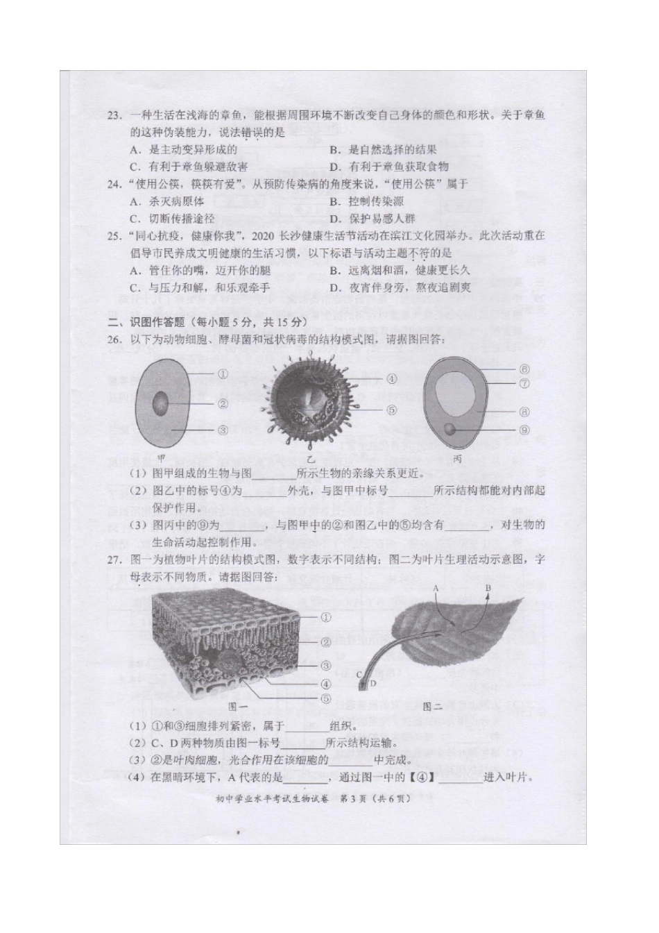 2020年湖南长沙中考生物试题及答案_第3页