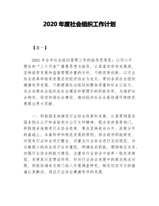 2020年社会组织工作计划