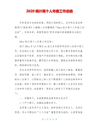 2020统计局个人年工作总结