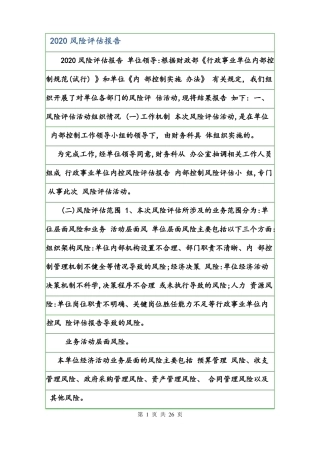 2020风险评价报告