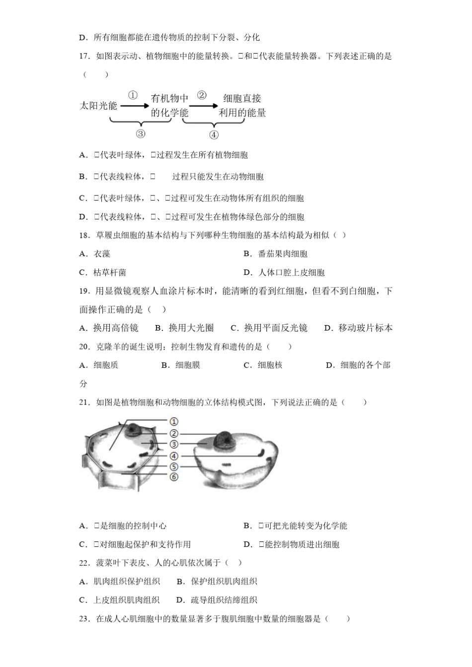 2021年中考生物生物体的结构层次专项测试题含答案_第3页