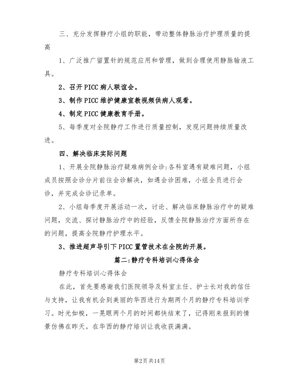 2021年静疗专业工作总结_第2页