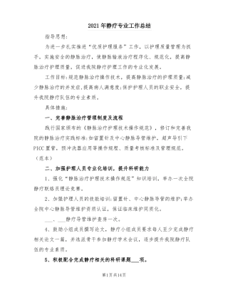 2021年静疗专业工作总结