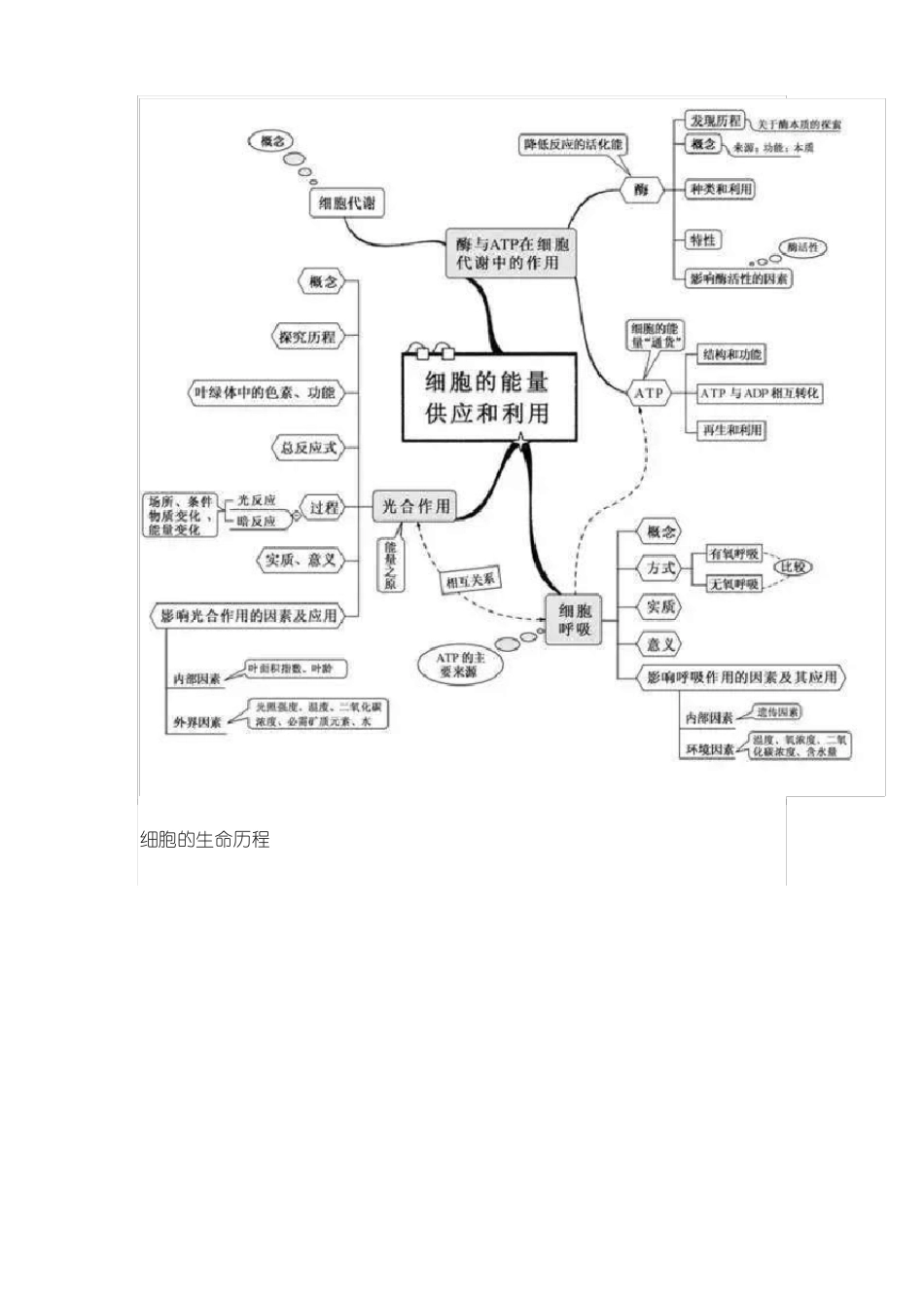 2021高考生物极简思维导图全汇总_第3页