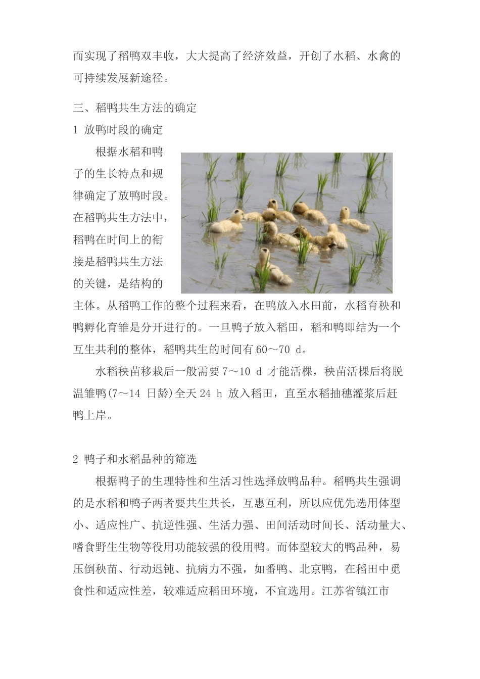 21稻鸭共生种养模式_第2页