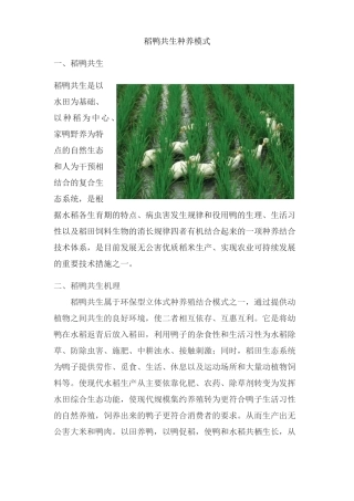21稻鸭共生种养模式