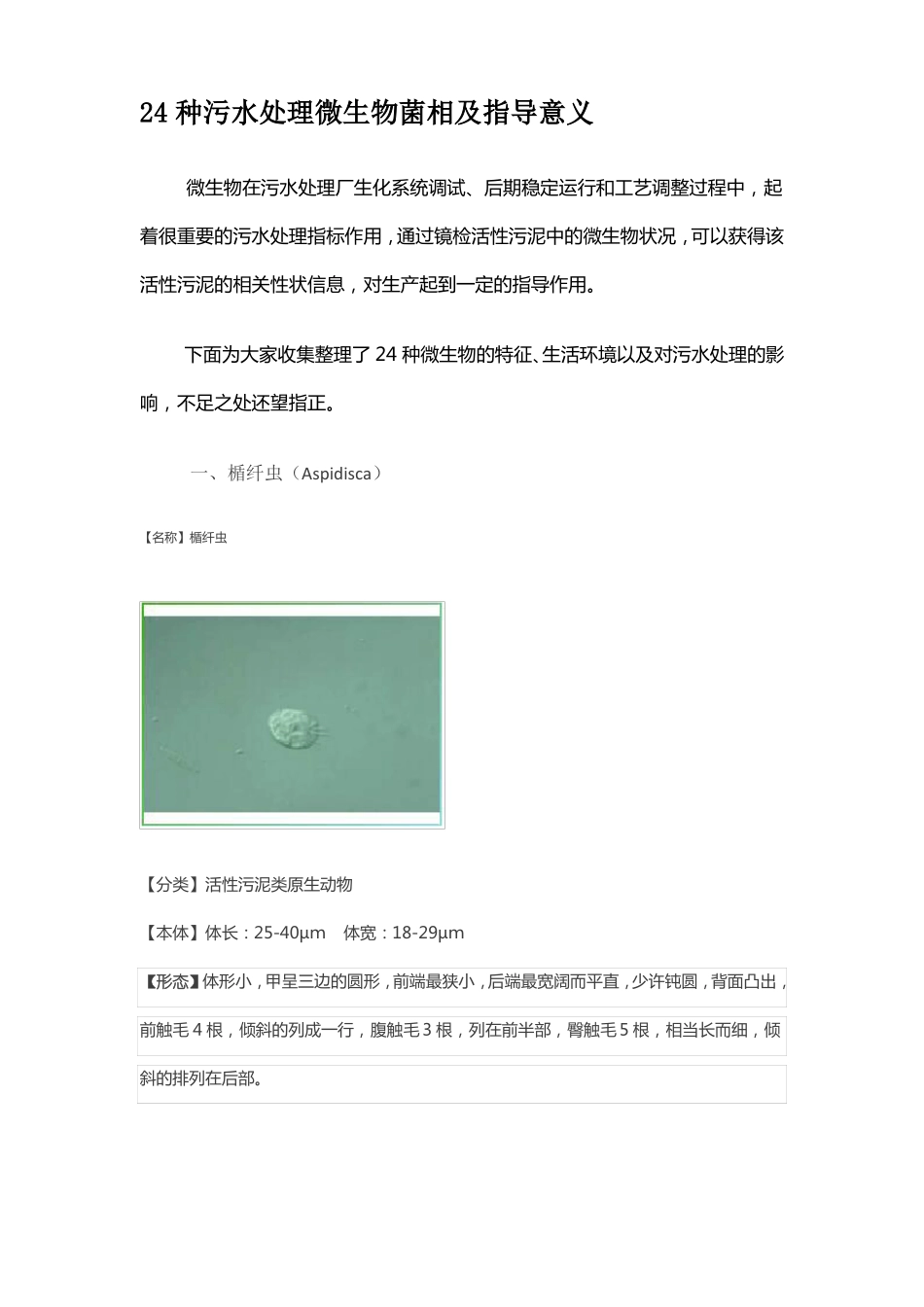 24种污水处理微生物菌相及指导意义_第1页