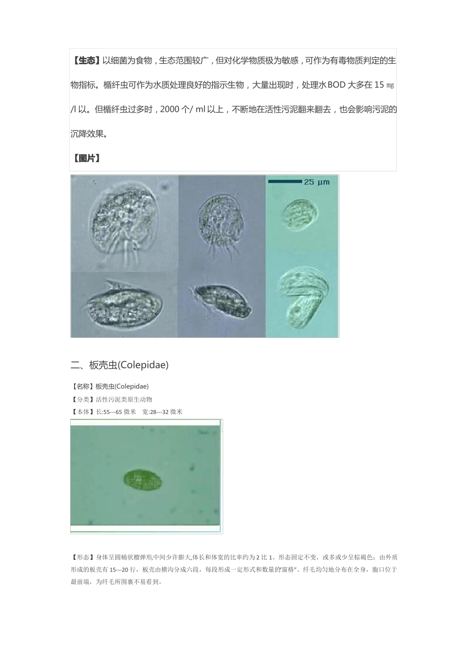 24种污水处理微生物菌相及指导意义_第2页