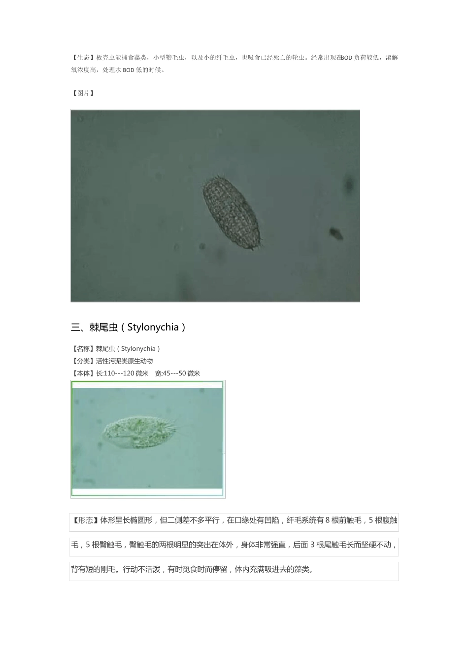 24种污水处理微生物菌相及指导意义_第3页