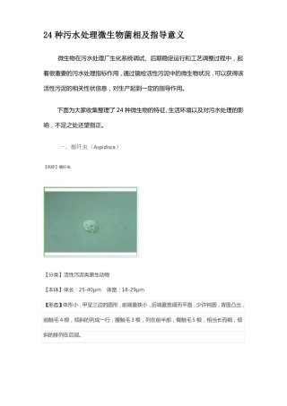24种污水处理微生物菌相及指导意义