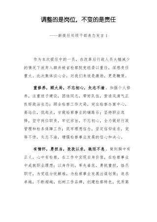 3篇新提任处级干部表态发言