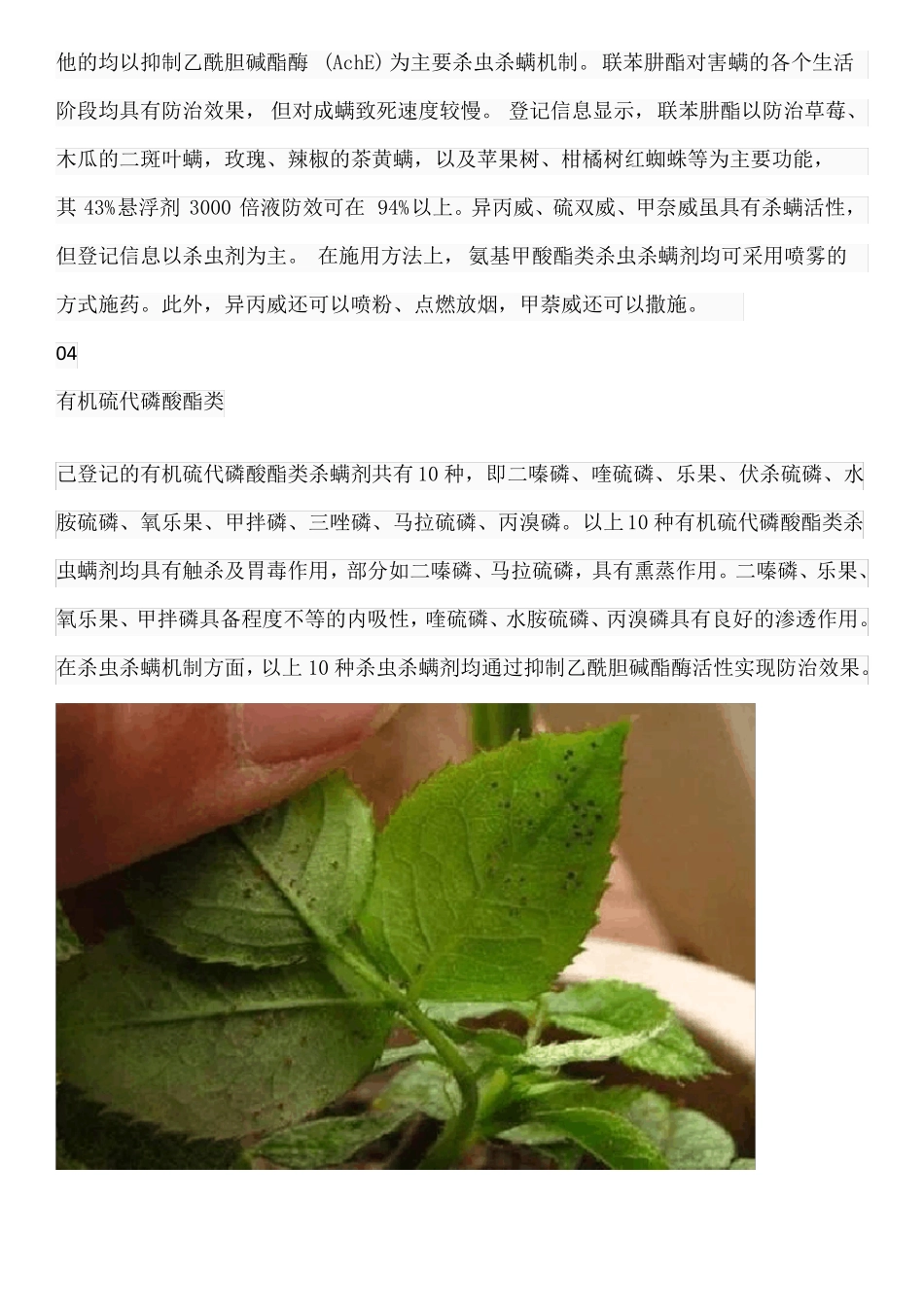 40种杀螨剂优劣对比_第3页