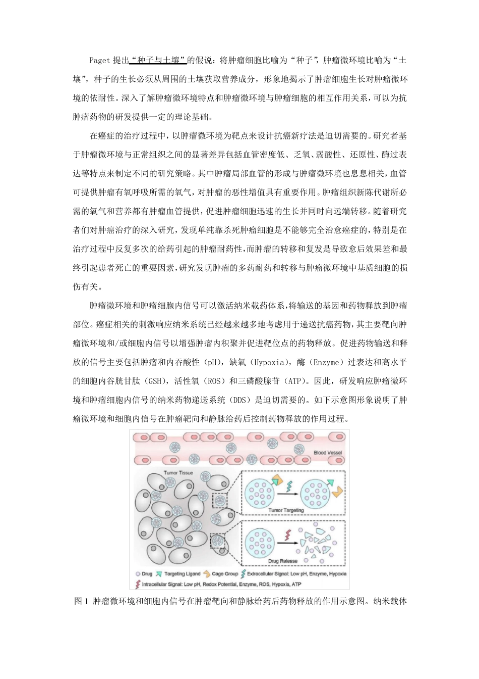 4肿瘤微环境响应型纳米药物载体_第2页