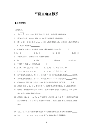 6平面直角坐标系-点的对称培优题和课后练习