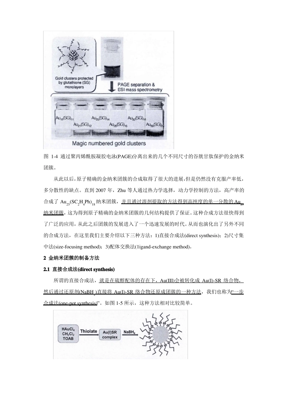83金纳米团簇的制备方法_第2页