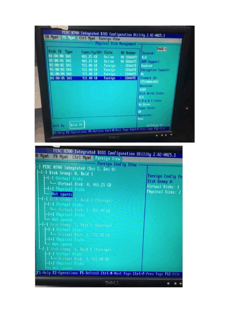 DELL服务器原有raid增加raid_第2页