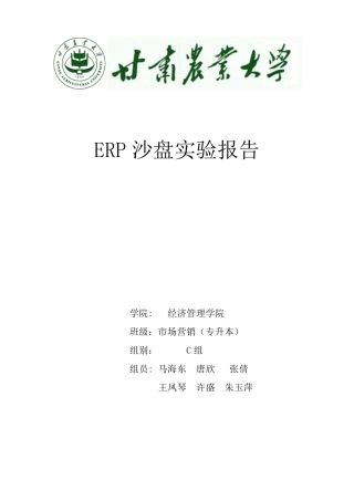 ERP沙盘试验报告