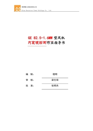 GE86MW内窥镜检测作业指导书-程明