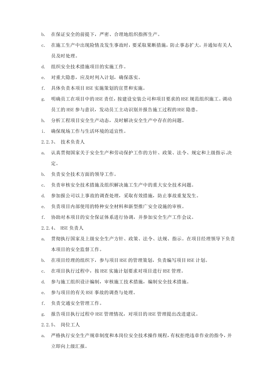 HSE管理网络和措施计划方案_第2页