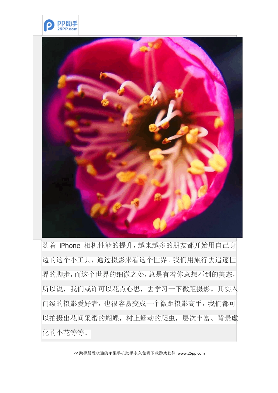 iphone6s微距拍摄技巧教你拍出虚化背景_第3页